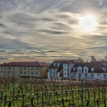 Das Prinzregent Edenkoben Exteriér fotografie