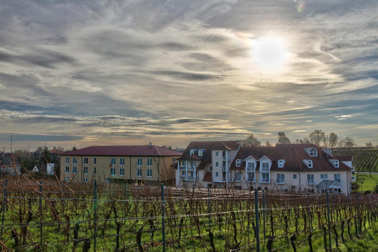 Das Prinzregent Edenkoben Exteriér fotografie